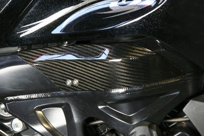 CARBONDRY - BMW K1200R CARBON FIBER FRAME SIDE PROTECTORS