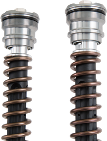 OHLINS Cartridge Kit - 30 mm (FGK229) FGK 229