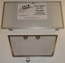 Cox Racing Radiator Guards for the Triumph 595 (99-01)