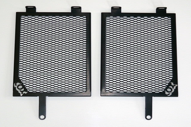 Cox Racing Radiator Guards for the BMW R1200GS (13)