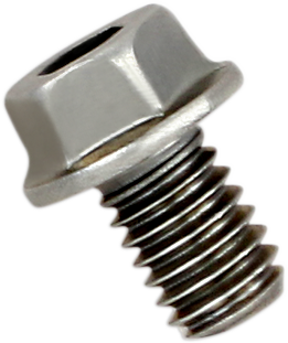 AKRAPOVIC Replacement Exhaust Bolt P-FB40