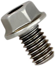 AKRAPOVIC Replacement Exhaust Bolt P-FB40