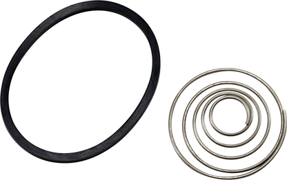 ARLEN NESS Replacement Spring and Oil Ring Set 03-465