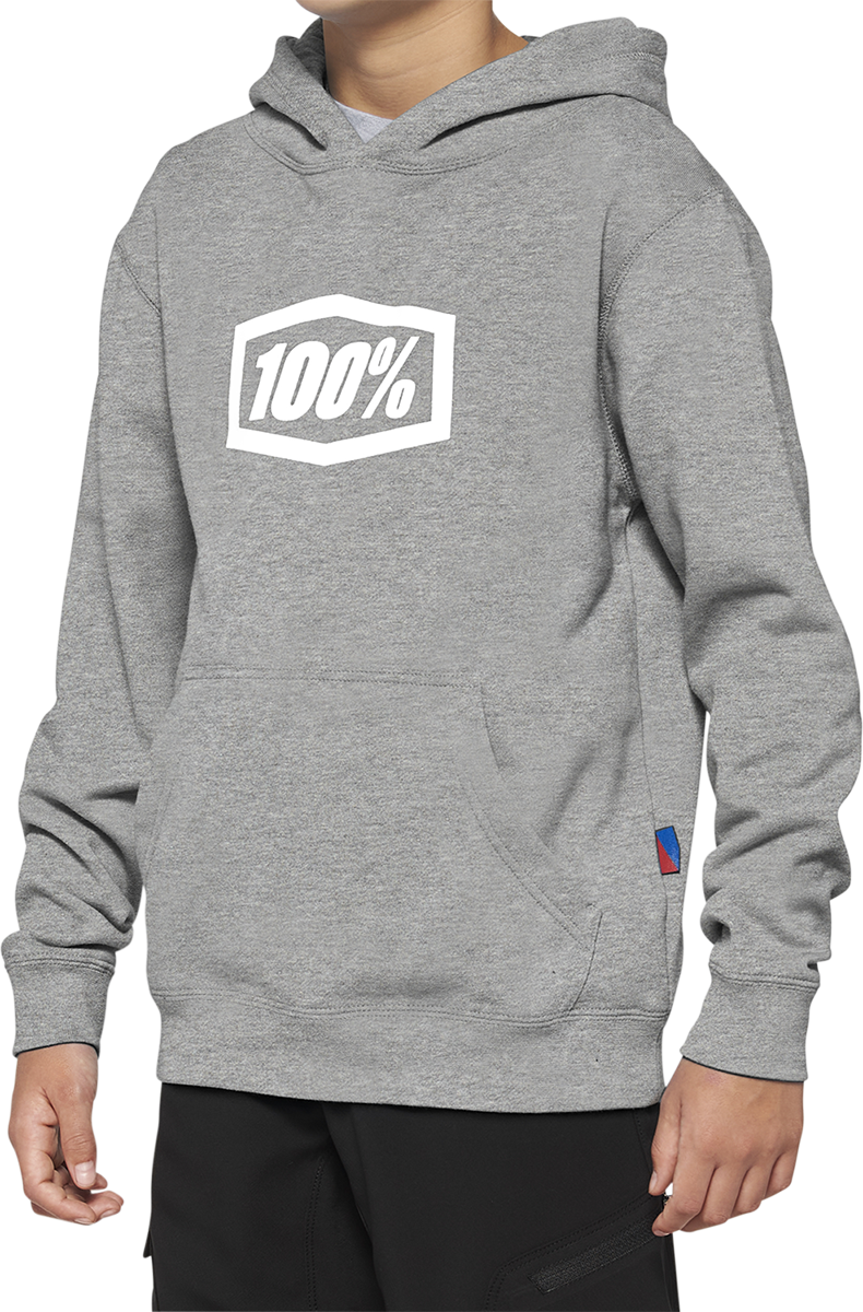 100% Youth Icon Hoodie - Gray - Large 20030-00006