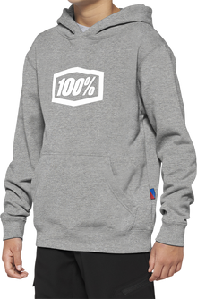 100% Youth Icon Hoodie - Gray - Large 20030-00006