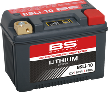 BS BATTERY Lithium Battery - BSLi-10 360118