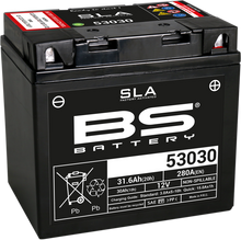 BS BATTERY Battery - 53030 300880
