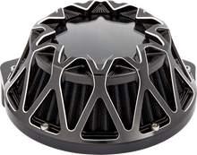 ARLEN NESS Crossfire Air Cleaner - Black 600-234