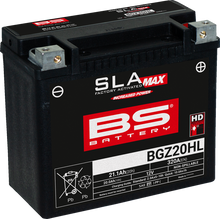 BS BATTERY Battery - BGZ20HL 300934