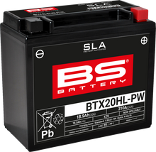 BS BATTERY Battery - BTX20HL-PW (YTX) 300920