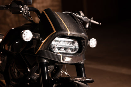 Zard 120th ANNIVERSARY LIMITED EDITION Carbon Fiber Headlight Fairing Kit for Harley Davidson Sportster S 1250