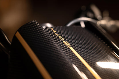 Zard 120th ANNIVERSARY LIMITED EDITION Carbon Fiber Headlight Fairing Kit for Harley Davidson Sportster S 1250