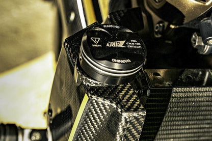 Zard 120th ANNIVERSARY LIMITED EDITION Carbon Fiber Radiator Covers, Front Fender, Side Panel, Billet Radiator Cap and Rear Suspension Knob Kit for Harley Davidson Sportster S 1250