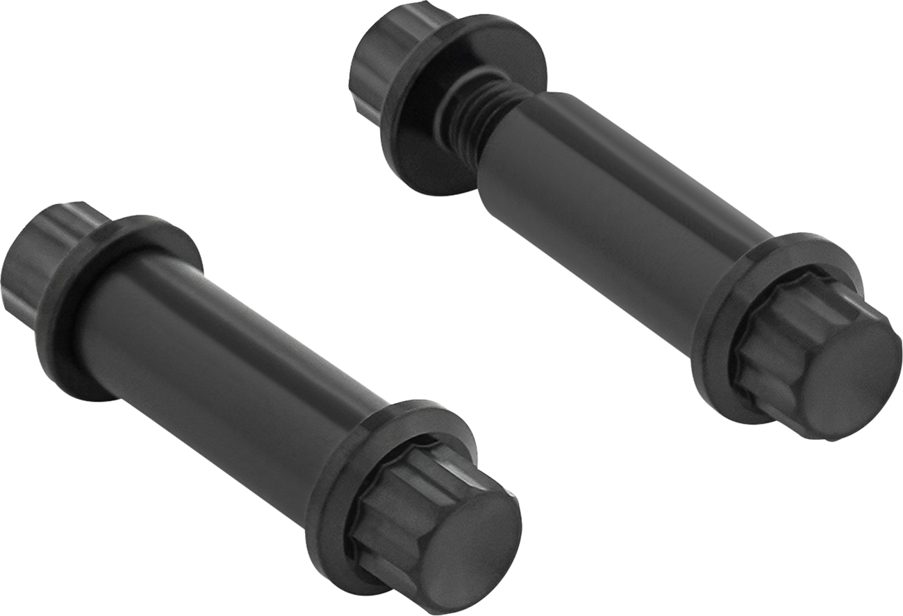 ARLEN NESS Bolt Kit - Footpeg - 12-Point - Titanium - Black 300-801
