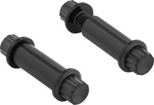 ARLEN NESS Bolt Kit - Footpeg - 12-Point - Titanium - Black 300-801