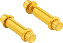 ARLEN NESS Bolt Kit - Footpeg - 12-Point - Titanium - Gold 300-802