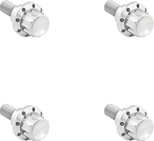 ARLEN NESS Bolt Kit - Windshield - 12-Point - Titanium - Silver 300-809