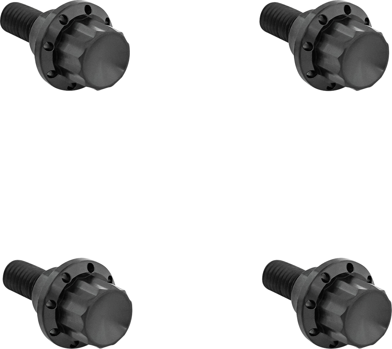 ARLEN NESS Bolt Kit - Windshield - 12-Point - Titanium - Black 300-810
