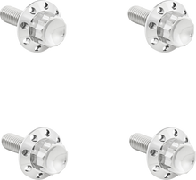 ARLEN NESS Bolt Kit - Windshield - Titanium - 12-Point - Polished 300-815