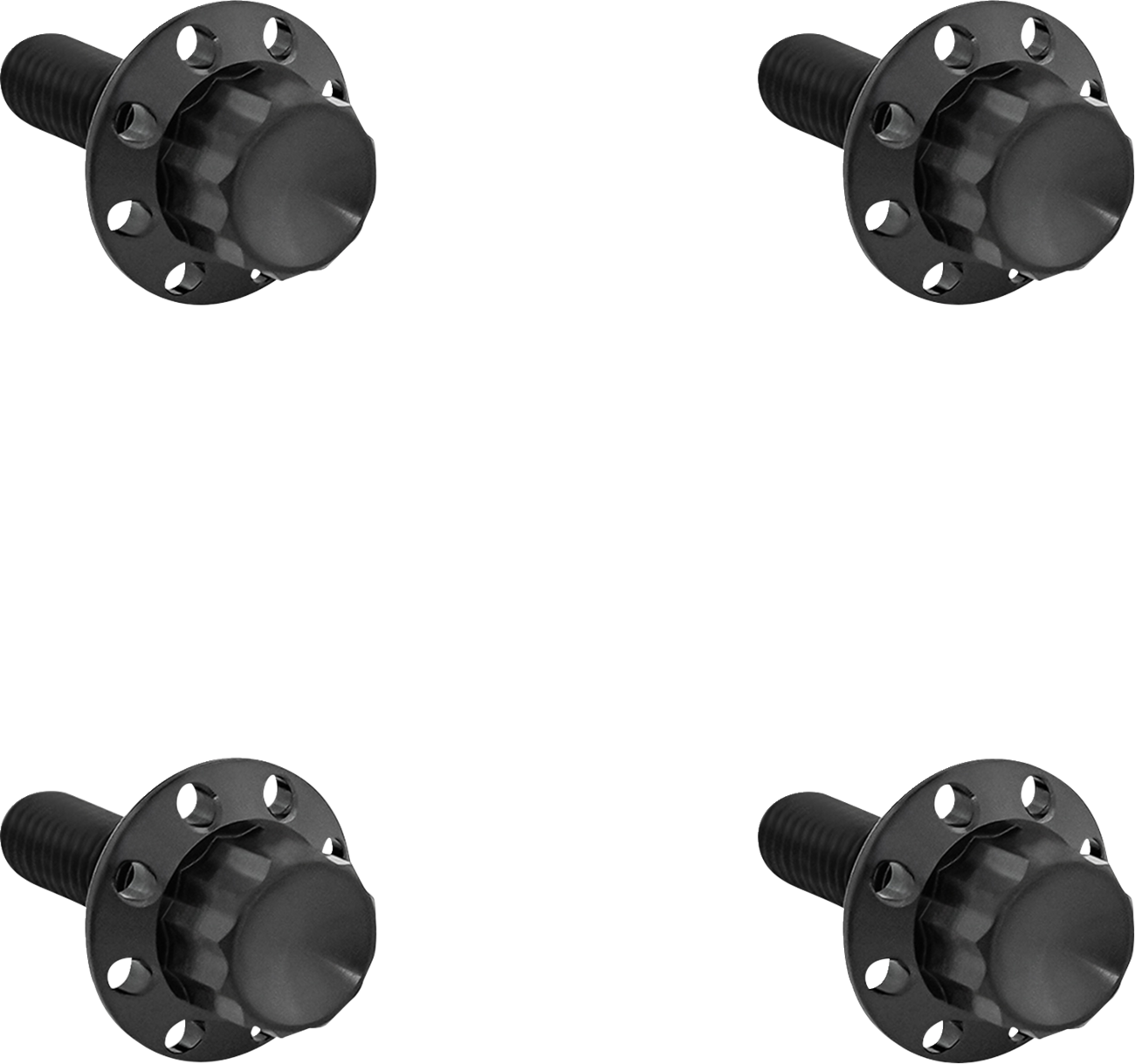 ARLEN NESS Bolt Kit - Windshield - Titanium - 12-Point - Black 300-816