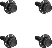 ARLEN NESS Bolt Kit - Windshield - Titanium - 12-Point - Black 300-816
