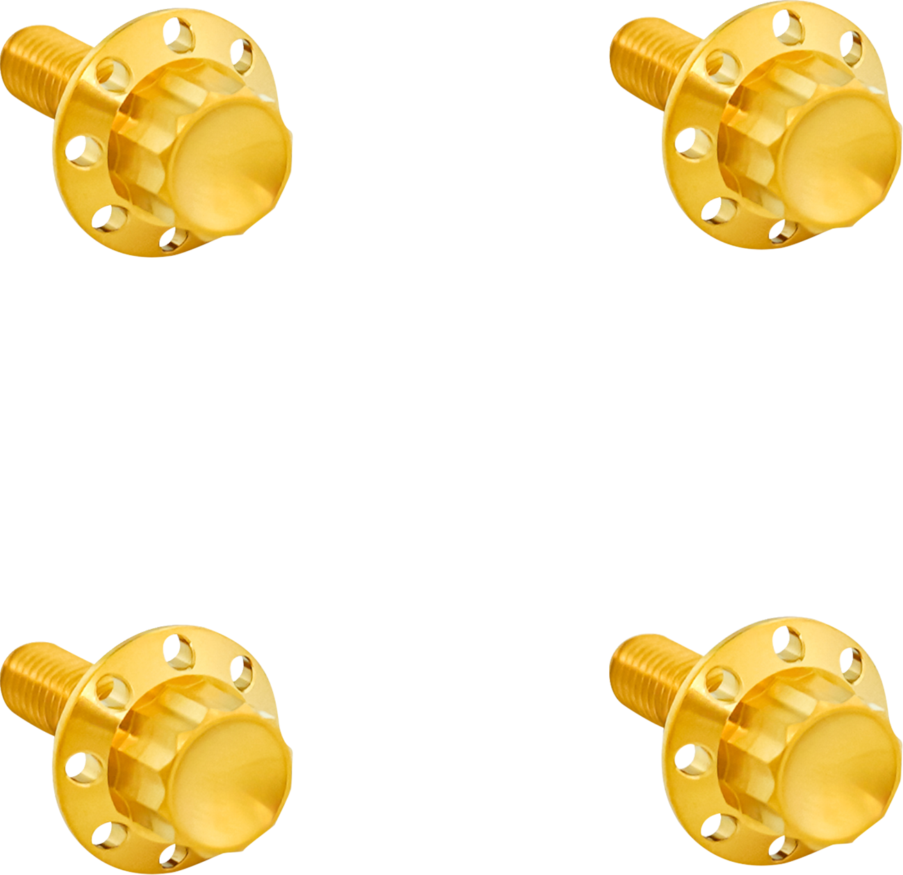 ARLEN NESS Bolt Kit - Windshield - Titanium - 12-Point - Gold 300-817
