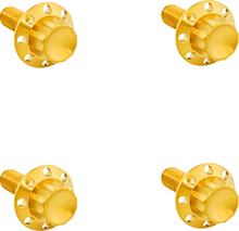 ARLEN NESS Bolt Kit - Windshield - Titanium - 12-Point - Gold 300-817
