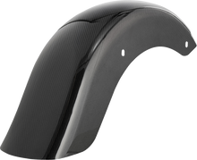 ARLEN NESS Rear Fender - Custom Lighting - Carbon Fiber - Touring 210-046