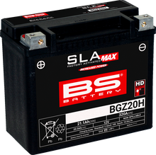 BS BATTERY Battery - BGZ20H 300938