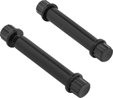 ARLEN NESS Bolt Kit - Footpeg - 12-Point - Titanium - Black 300-804