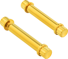 ARLEN NESS Bolt Kit - Footpeg - 12-Point - Titanium - Gold 300-805
