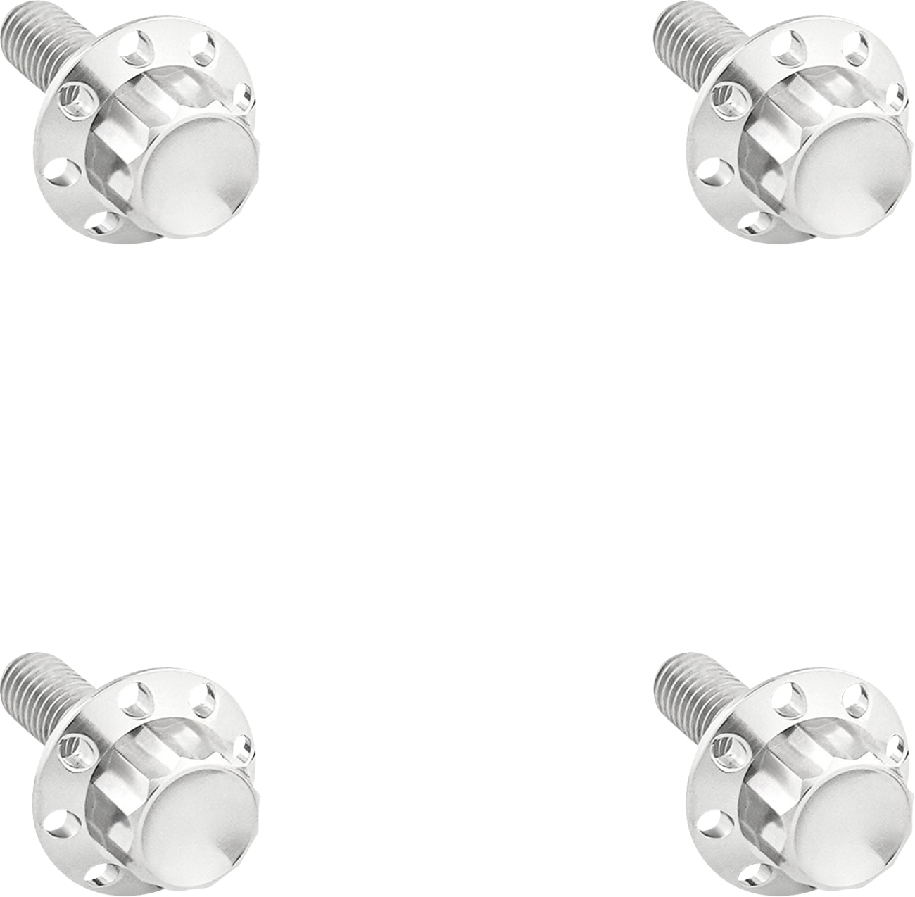 ARLEN NESS Bolt Kit - Windshield - Titanium - 12-Point - Polished 300-839