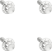 ARLEN NESS Bolt Kit - Windshield - Titanium - 12-Point - Polished 300-839