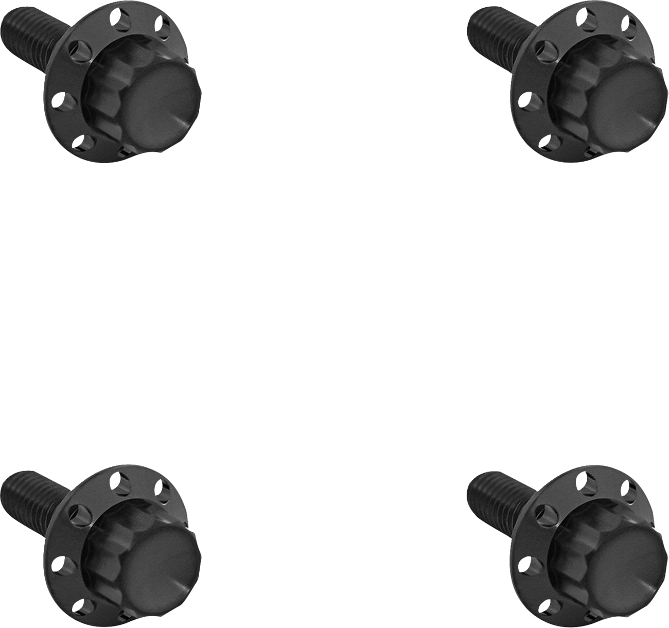 ARLEN NESS Bolt Kit - Windshield - Titanium - 12-Point - Black 300-840