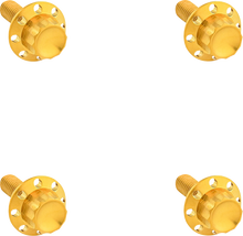 ARLEN NESS Bolt Kit - Windshield - Titanium - 12-Point - Gold 300-841