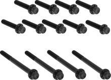 ARLEN NESS Bolt Kit - Primary Cover - Titanium - 12-Point - Twin Cam - Black 300-990