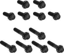 ARLEN NESS Bolt Kit - Rocker Box - 12-Point - Titanium - Black 300-993