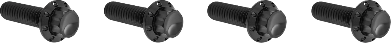 ARLEN NESS Bolt Kit - Transmission Top Cover - 12-Point - Titanium - Black 300-978