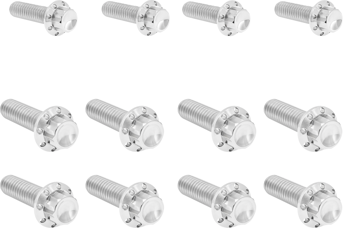 ARLEN NESS Bolt Kit - Transmission Side Cover/Trap Door - 12-Point - Titanium - Polished 300-953