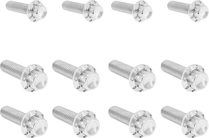 ARLEN NESS Bolt Kit - Transmission Side Cover/Trap Door - 12-Point - Titanium - Polished 300-953