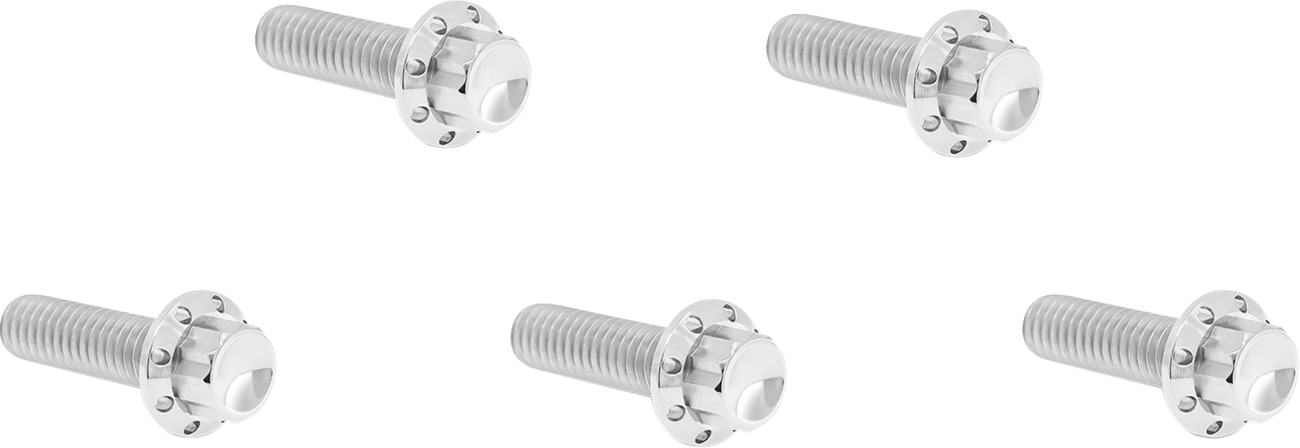 ARLEN NESS Bolt Kit - Derby Cover - 12-Point - Titanium - Polished 300-923