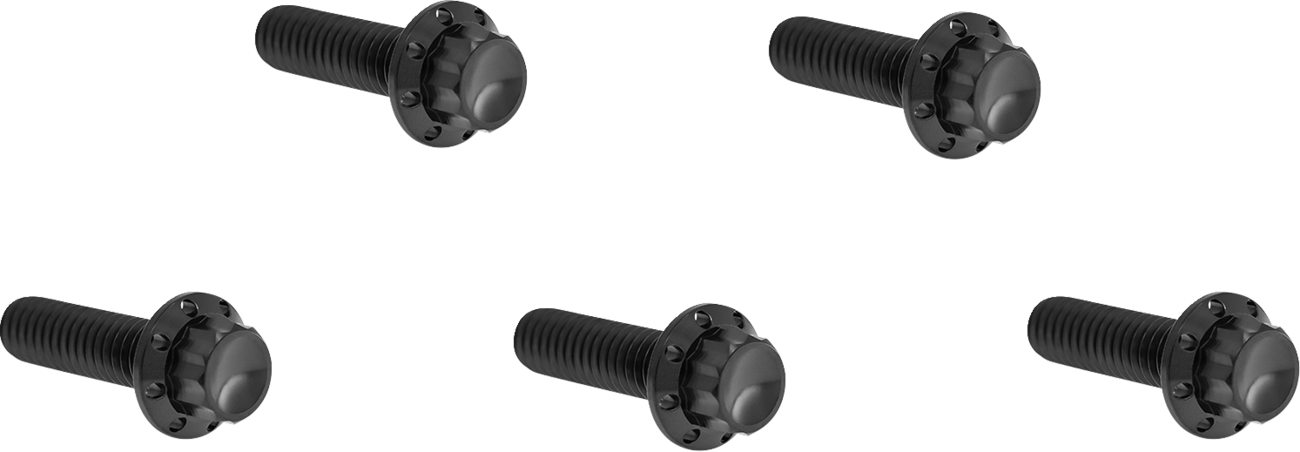 ARLEN NESS Bolt Kit - Derby Cover - 12-Point - Titanium - Black 300-924