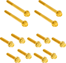 ARLEN NESS Bolt Kit - Primary Cover - Titanium - 12-Point - FLT - Gold 300-928