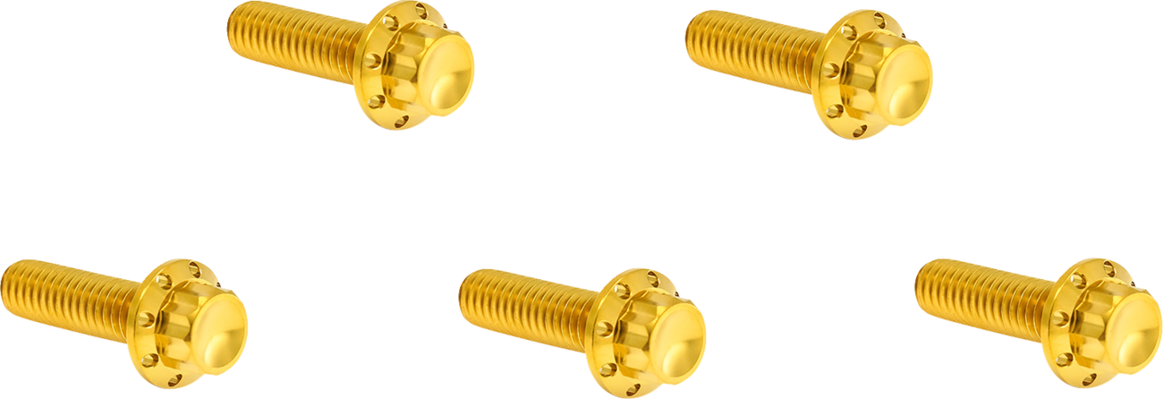 ARLEN NESS Bolt Kit - Derby Cover - 12-Point - Titanium - Gold 300-940