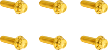 ARLEN NESS Bolt Kit - Transmission Top Cover - 12-Point - Titanium - Gold 300-949