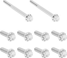ARLEN NESS Bolt Kit - Transmission Side Cover/Trap Door - 12-Point - Titanium - Polished 300-950