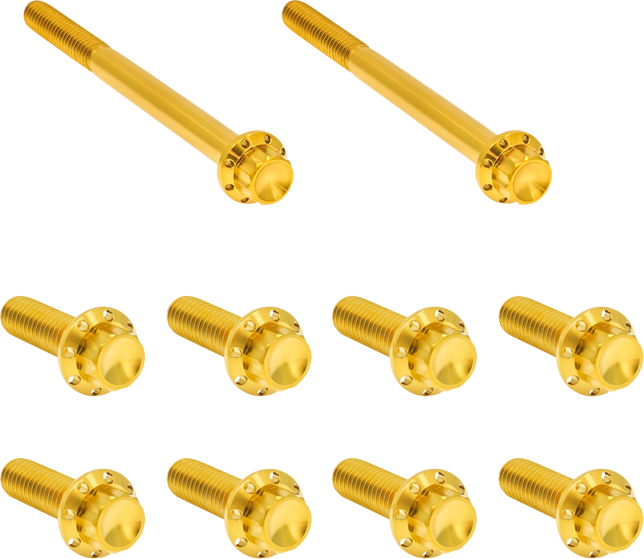 ARLEN NESS Bolt Kit - Transmission Side Cover/Trap Door - 12-Point - Titanium - Gold 300-952