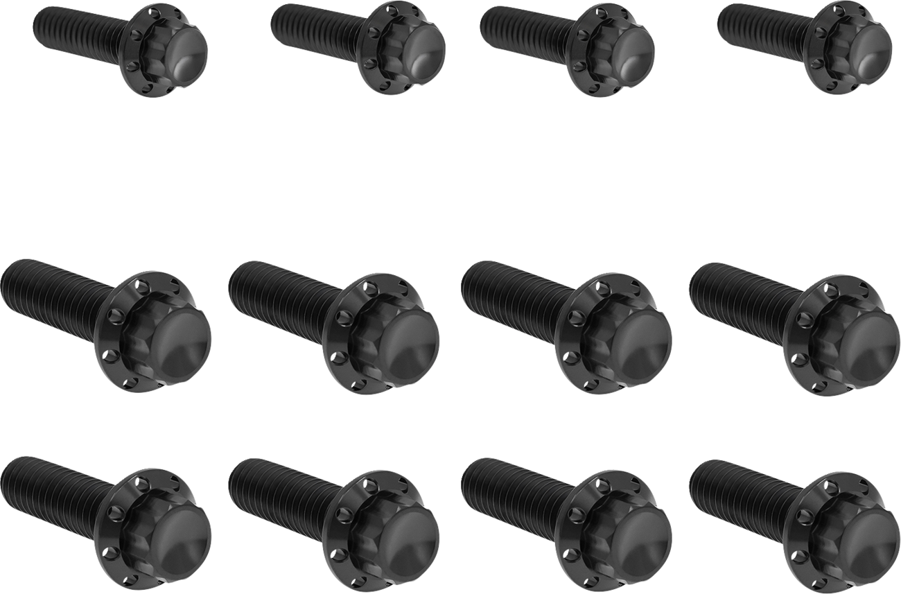 ARLEN NESS Bolt Kit - Transmission Side Cover/Trap Door - 12-Point - Titanium - Black 300-954