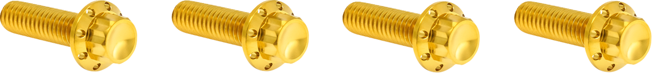 ARLEN NESS Bolt Kit - Transmission Top Cover - 12-Point - Titanium - Gold 300-979