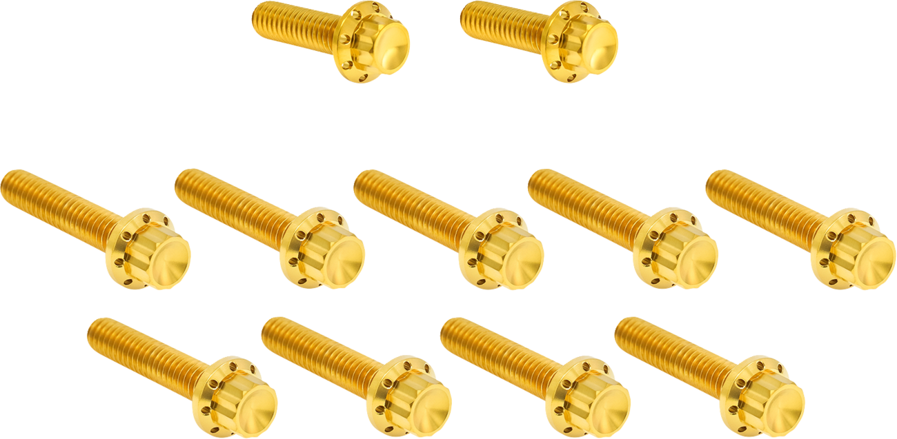 ARLEN NESS Bolt Kit - Cam Cover/Point Cover - Titanium - 12-Point - Gold 300-982